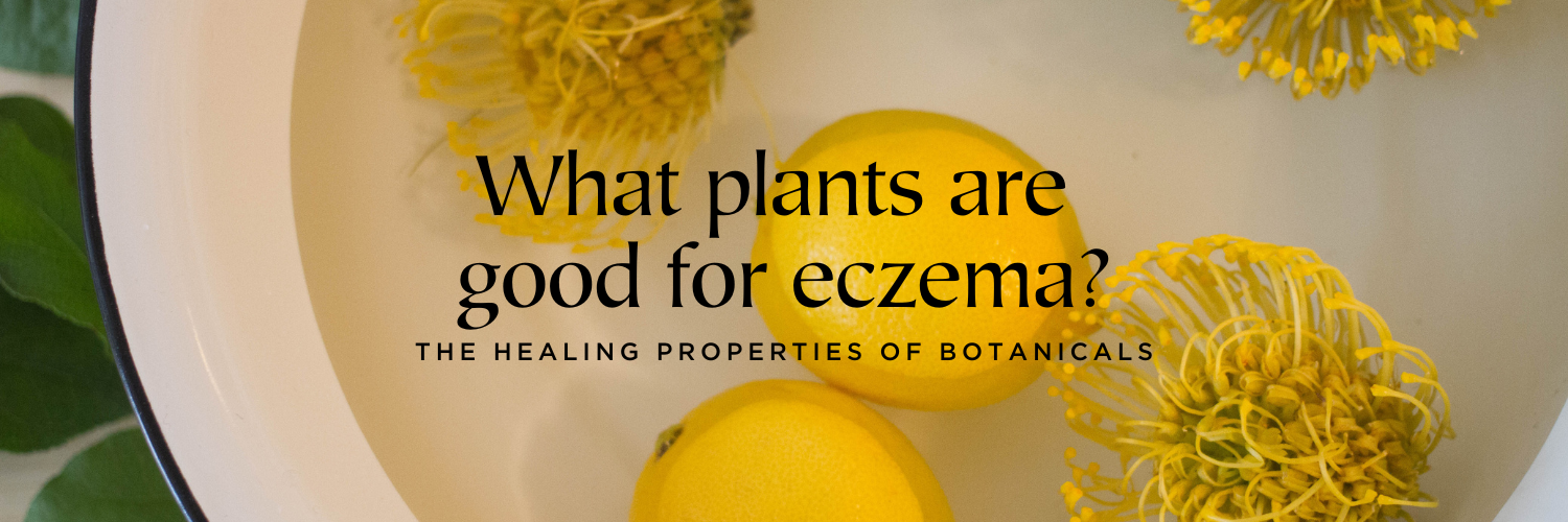 What plants are good for eczema?